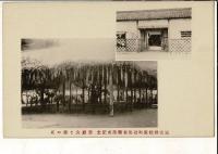 （レトロ絵葉書）三重県松阪町役場新築落成記念 旧庁舎と藤の花