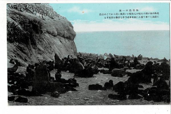 樺太絵葉書3枚（半田沢の国境標/多来加湖/海豹島の一部） 戦前