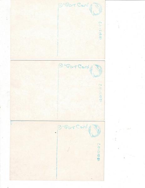 樺太絵葉書3枚（半田沢の国境標/多来加湖/海豹島の一部） 戦前絵葉書