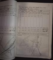 街路交通調査報告書