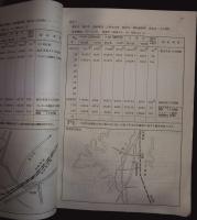 街路交通調査報告書