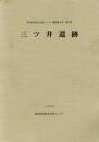 三ツ井遺跡 ＜愛知県埋蔵文化財センター調査報告書 第87集＞
