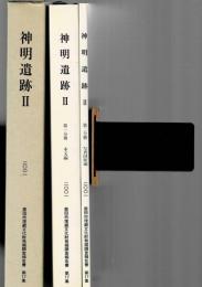 神明遺跡