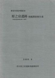 神奈川県伊勢原市原之宿遺跡発掘調査報告書