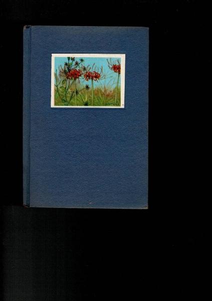 秋の野草 理科教育研究委員会 編 るびりん書林 古本 中古本 古書籍の通販は 日本の古本屋 日本の古本屋
