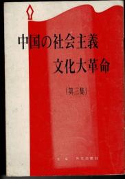 中国の社会主義文化大革命