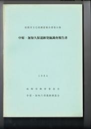 中原・加知久保遺跡発掘調査報告書