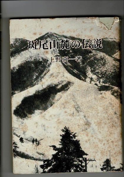 霊視使魂念感 玄想法秘儀 大宮司朗 八幡書店