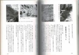 シルクロード8000キロの旅 : 天山南路をゆく