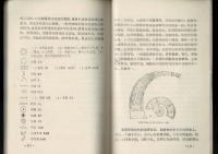 彝族風俗志（中文）