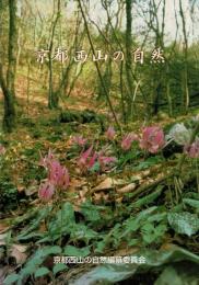 京都西山の自然