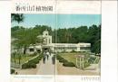 南紀白浜 番所山熱帯植物園 絵葉書8枚とタトウ 和歌山県白浜町