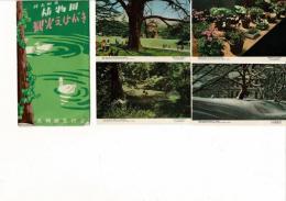 北大植物園 観光えはがき 札幌観光協会