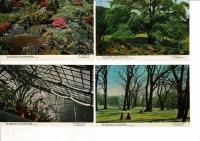 北大植物園 観光えはがき 札幌観光協会