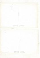 JAPAN TEA 絵葉書 外国向け