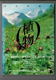 植物 : 石川の自然