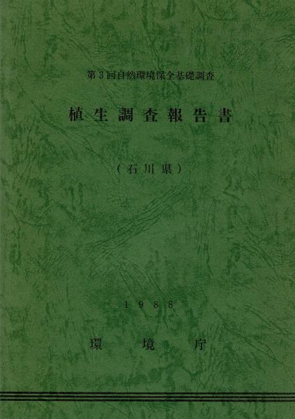 日本語助詞シカに関わる構文構造史的研究 : 文法史構築の一試論