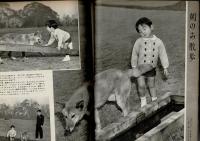 週刊平凡 臨時増刊 昭和38年2月28日号 浩宮さまの3年間 ポスター付
長編小説「続・美智子さま」小山いと子
・満3歳お誕生日記念 浩宮さまの3年間
　