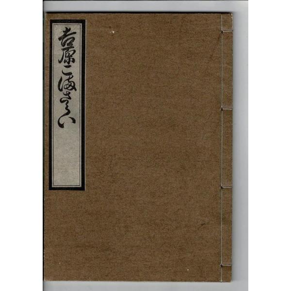 即日発送 青木乃里子 作品集(柴山香織編; るびりん / 水橋巌監修) art in 画集