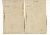 大正三年十一月 特別大演習記念絵葉書 大阪府発行 東京警眼社謹製 戦前絵葉書2枚とタトウ 絵葉書に「大本営内 大正三年陸軍特別大演習記念」印 エンボス加工
