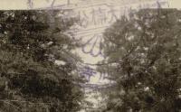河内檜尾山観心寺 レトロ絵葉書4枚 参拝紀念スタンプ（不鮮明・大楠公首墓）
全景/中院（楠公学問所）/（本堂）/三重塔（楠公建立）