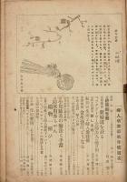 婦人倶楽部　昭和21年新年号　第27巻第1号