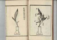未生流　葉蘭挿方図解(全) 　