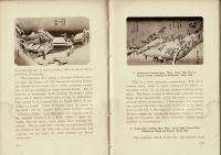 Hirosige and Japanese landscapes = 廣重と日本風景畫 (Tourist Library 5)