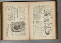 洋食と支那料理