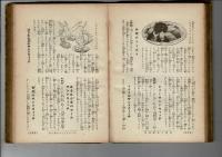洋食と支那料理