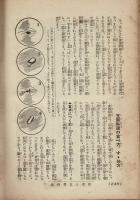洋食と支那料理