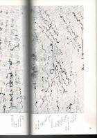 日本名跡叢刊 100（平安 仮名消息）