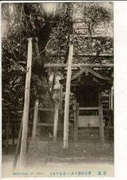 （レトロ絵葉書）奈良 春日社寄リ木（一名七ツ木） 1枚 (春日大社七種寄木) 切り取り式