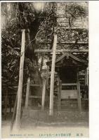 （レトロ絵葉書）奈良 春日社寄リ木（一名七ツ木） 1枚 (春日大社七種寄木) 切り取り式