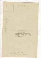 （レトロ絵葉書）黒部渓谷（猿飛附近） 1枚 宛名面に「三日市駅下車 宇奈月からの上流黒部川の峡谷 途中に温泉あり奇勝に富む」の書き込み