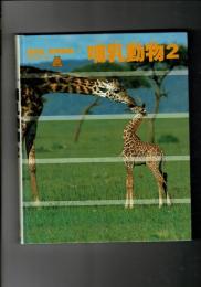 哺乳動物