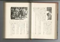太陽の戦士 岩波の愛蔵版26