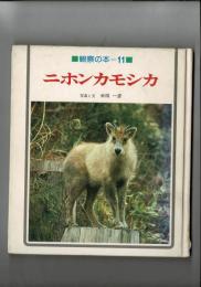 ニホンカモシカ