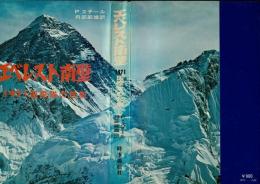 エベレスト南壁 : 1971国際隊の悲劇