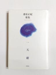 歌集　一天紺