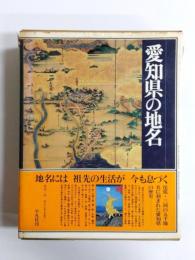 愛知県の地名　日本歴史地名大系　第23巻