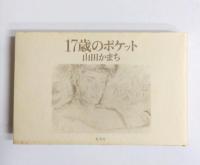 17歳のポケット