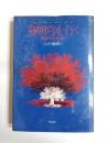 薄明穹を行く　賢治詩私読　宮沢賢治研究叢書8