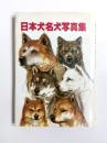 日本犬名犬写真集