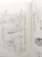 田邊和氣子刀自遺稿