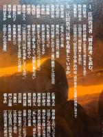 北冬　No.018　増頁総力奮努号　特集/藤原龍一郎責任編集［江田浩司］は何を現象しているか。
