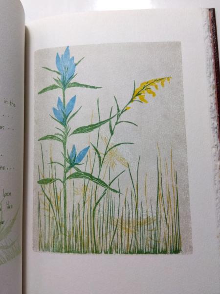 MY MICHIGAN(Gwen Frostic) / 古本、中古本、古書籍の通販は「日本の