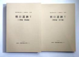 朝日遺跡 5　「土器・総論編」「図版編・索引編」