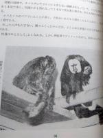 世界のサル