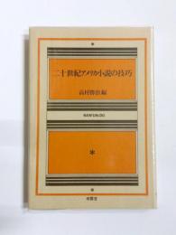 二十世紀アメリカ小説の技巧